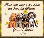 Cartes gratuites Grosses l�chouilles - Voir cette image en taille r�elle