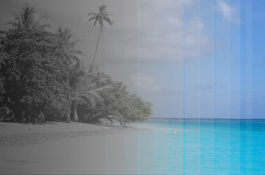 Image hébergée par Casimages.com : votre hébergeur d images simple et gratuit