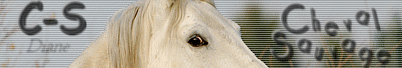 http://www.casimages.com/img/06071106530668650.gif