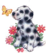 Image h�berg�e par Casimages.com : votre h�bergeur d images simple et gratuit
