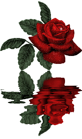 Image hébergée par Casimages.com : votre hébergeur d images simple et gratuit