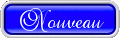 Ceci est le bouton pour cr�er un nouveau sujet dans la section courante. Ce bouton vous emmenera vers le formulaire de cr�ation d'un nouveau sujet et une fois les informations ad�quats remplies , le sujet sera cr�er dans la Section ou vous aurez cliquer sur ce bouton .