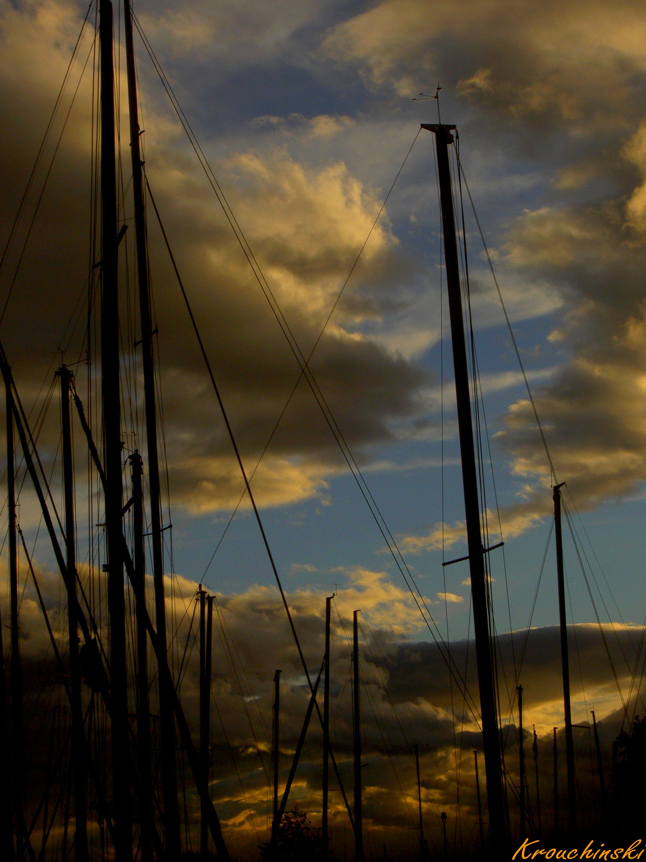 Les mâts du port de plaisance