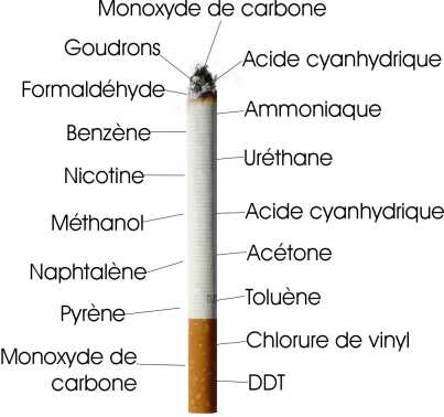 Image hébergée par Casimages.com : votre hébergeur d images simple et gratuit