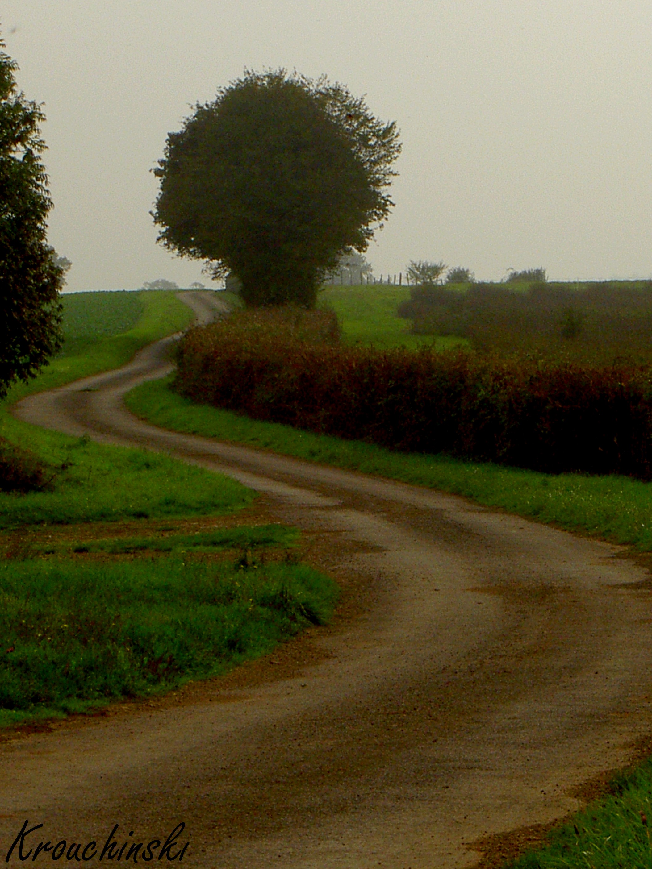Chemin qui vadrouille dans la campagne bourguignonne