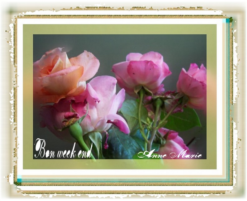 Image hébergée par Casimages.com : votre hébergeur d images simple et gratuit