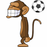 monkey