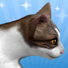 Avatar de loligloss
