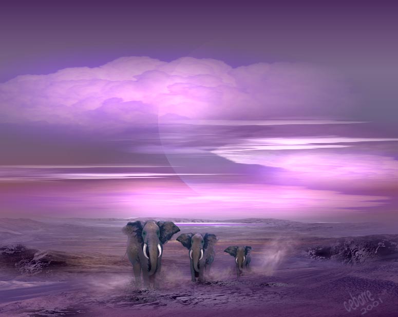 Image h�berg�e par Casimages.com : votre h�bergeur d images simple et gratuit