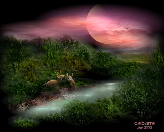 Image h�berg�e par Casimages.com : votre h�bergeur d images simple et gratuit