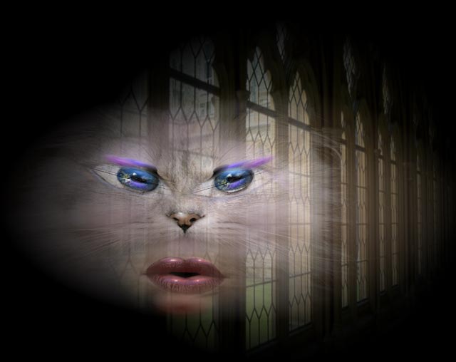 Image h�berg�e par Casimages.com : votre h�bergeur d images simple et gratuit