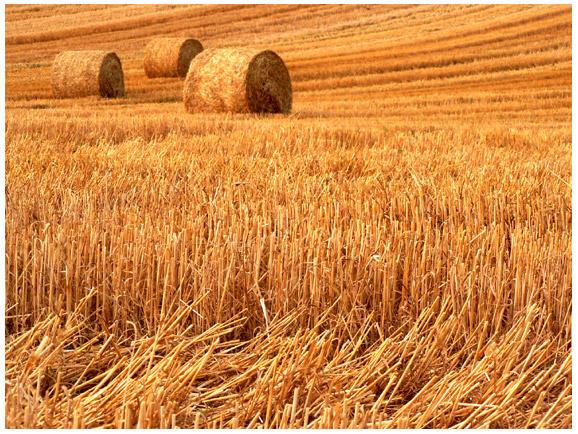 Image h�berg�e par Casimages.com : votre h�bergeur d images simple et gratuit