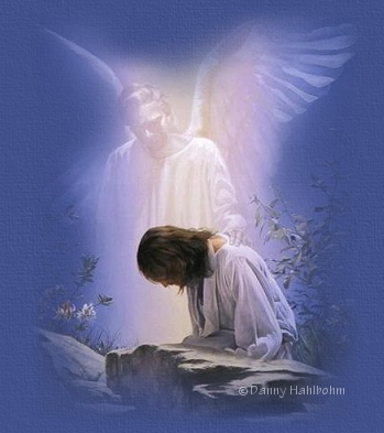 Image h�berg�e par Casimages.com : votre h�bergeur d images simple et gratuit