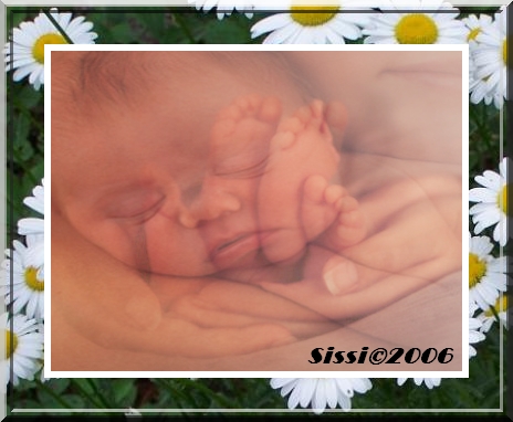 Image hébergée par Casimages.com : votre hébergeur d images simple et gratuit