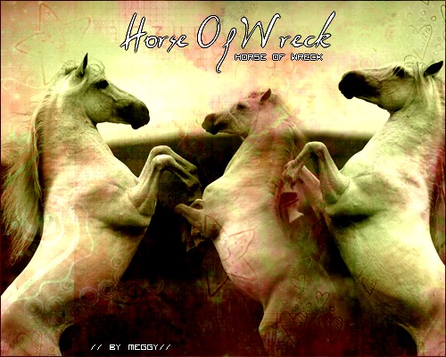 →Ecurie of Wreck ←