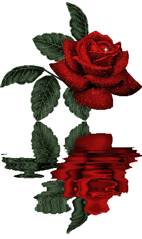 Image hébergée par Casimages.com : votre hébergeur d images simple et gratuit
