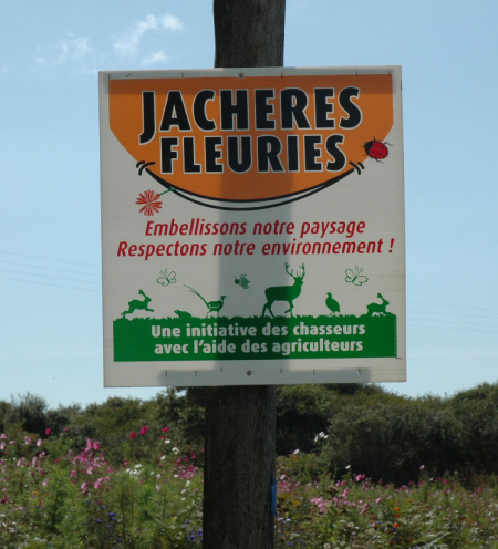 Image hébergée par Casimages.com : votre hébergeur d images simple et gratuit