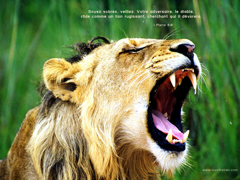 Image h�berg�e par Casimages.com : votre h�bergeur d images simple et gratuit