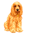 Image hébergée par Casimages.com : votre hébergeur d images simple et gratuit