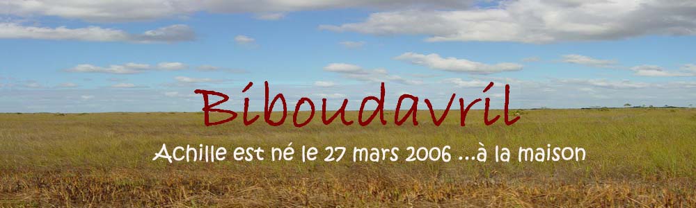 Image hébergée par Casimages.com : votre hébergeur d images simple et gratuit