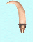 Image hébergée par Casimages.com : votre hébergeur d images simple et gratuit