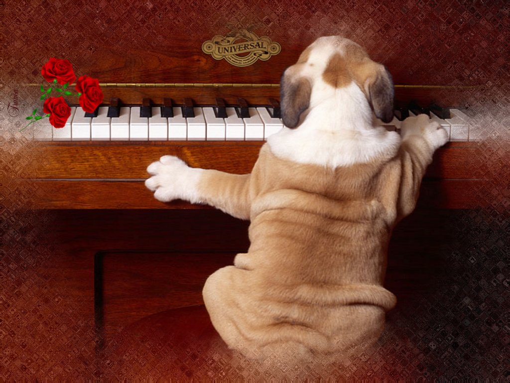 Image h�berg�e par Casimages.com : votre h�bergeur d images simple et gratuit