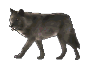 Image hébergée par Casimages.com : votre hébergeur d images simple et gratuit