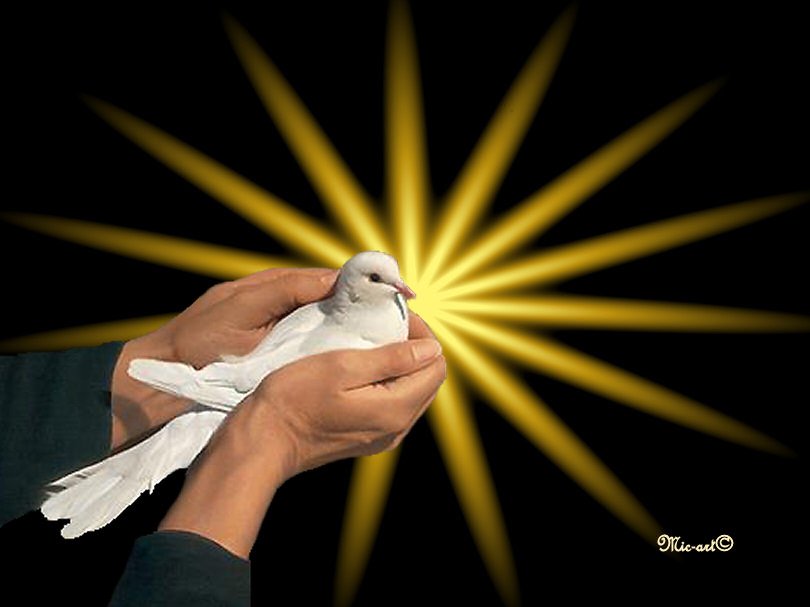 Image h�berg�e par Casimages.com : votre h�bergeur d images simple et gratuit