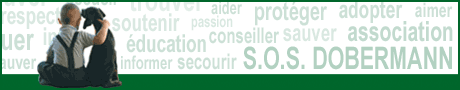 Image h�berg�e par Casimages.com : votre h�bergeur d images simple et gratuit