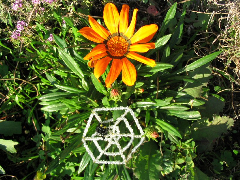 Image h�berg�e par Casimages.com : votre h�bergeur d images simple et gratuit