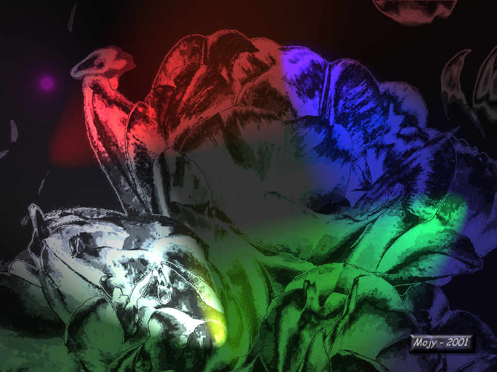 Image h�berg�e par Casimages.com : votre h�bergeur d images simple et gratuit