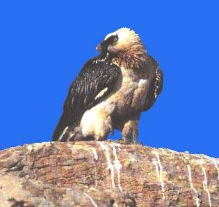 Image hébergée par Casimages.com : votre hébergeur d images simple et gratuit