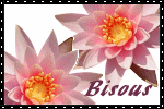 Image hébergée par Casimages.com : votre hébergeur d images simple et gratuit