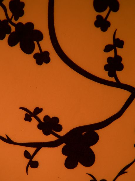 Image hébergée par Casimages.com : votre hébergeur d images simple et gratuit