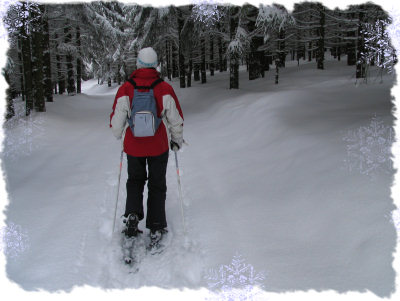 Image hébergée par Casimages.com : votre hébergeur d images simple et gratuit