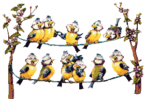 Image hébergée par Casimages.com : votre hébergeur d images simple et gratuit