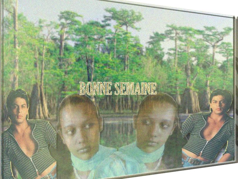 Image
h�berg�e par Casimages.com : votre h�bergeur d images simple et gratuit