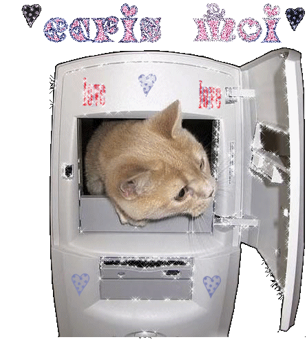 070309082539376854?SSImageQualityFull