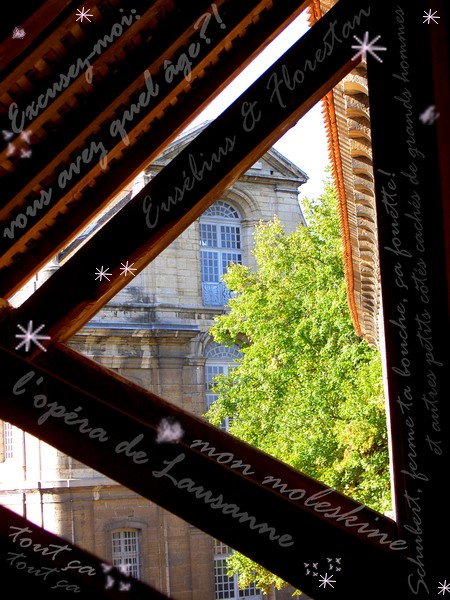 Charpente à Cluny (F)