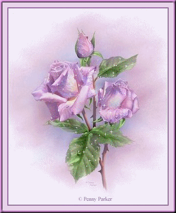 http://www.casimages.com/img/070310121259379888.gif