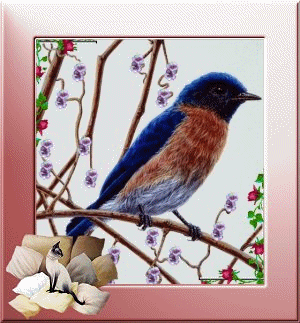 Image hébergée par Casimages.com : votre hébergeur d images simple et gratuit