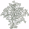 Image h�berg�e par Casimages.com : votre h�bergeur d images simple et gratuit