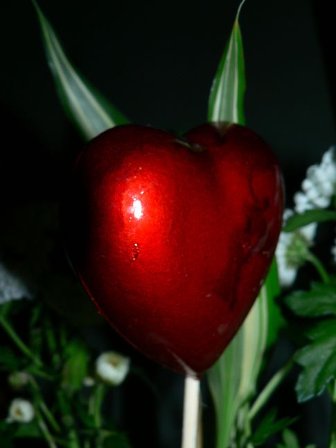 Image h�berg�e par Casimages.com : votre h�bergeur d images simple et gratuit