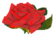 Image hébergée par Casimages.com : votre hébergeur d images simple et gratuit