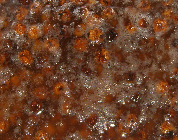 Achat Noix Tigreés Bio - Agrumes Bio en Ligne