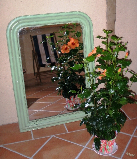 Image hébergée par Casimages.com : votre hébergeur d images simple et gratuit
