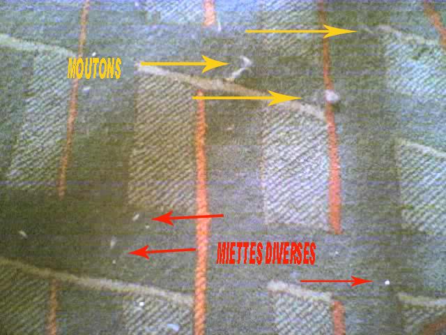 Image hébergée par Casimages.com : votre hébergeur d images simple et gratuit