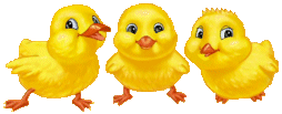 Image h�berg�e par Casimages.com : votre h�bergeur d images simple et gratuit