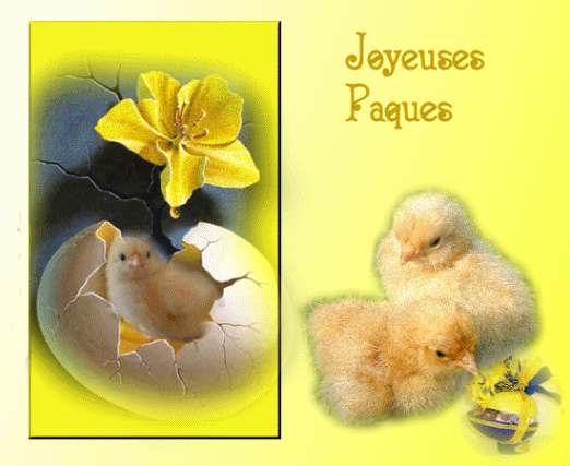 Image hébergée par Casimages.com : votre hébergeur d images simple et gratuit