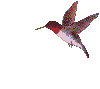 Image hébergée par Casimages.com : votre hébergeur d images simple et gratuit